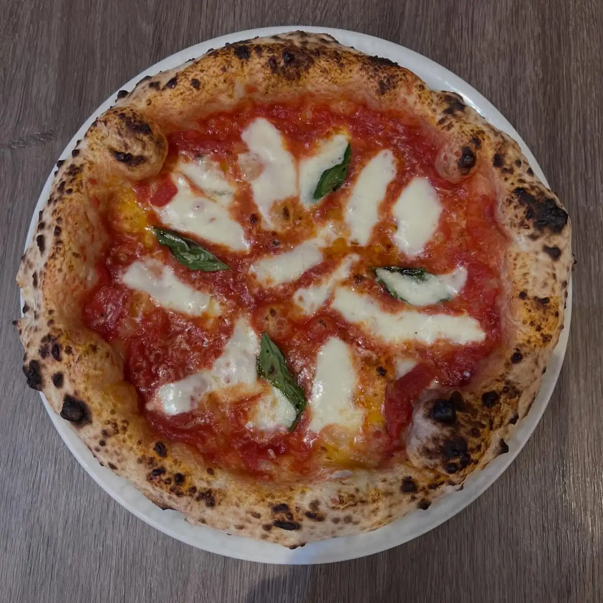 Margherita
